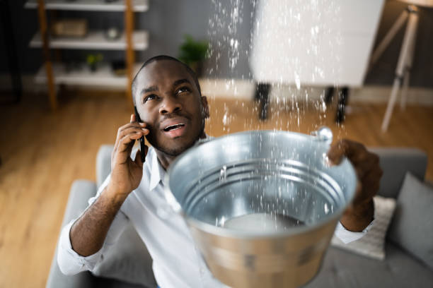 Best Local water damage restoration  in Arkwright, SC