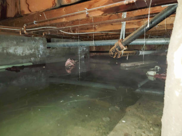 Best Ceiling water damage repair  in Arkwright, SC