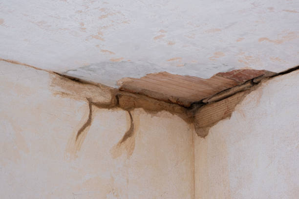 Best Flood damage cleanup  in Arkwright, SC