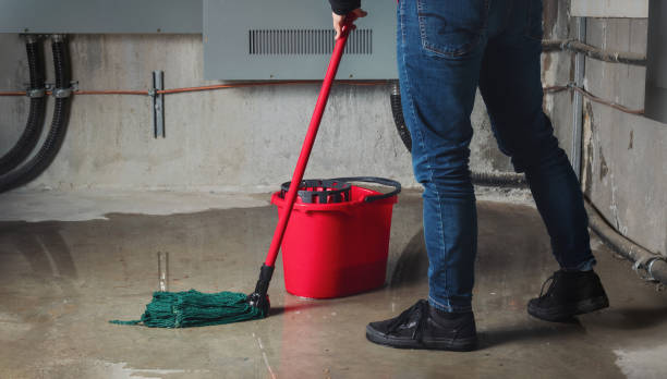 Best Water damage contractors near me  in Arkwright, SC