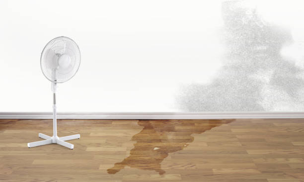Best Water damage restoration near me  in Arkwright, SC