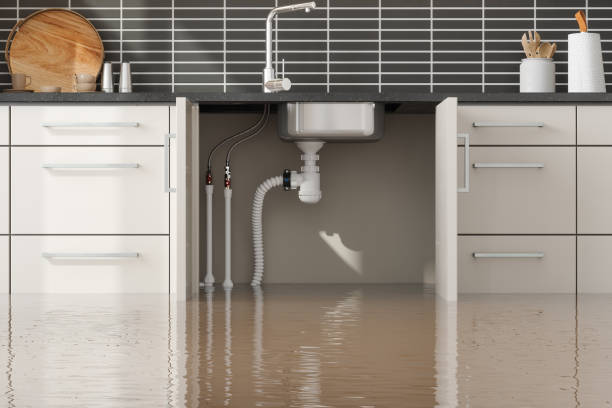 Best Professional water damage repair  in Arkwright, SC