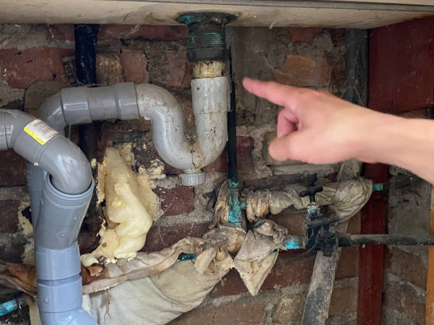 Water damage restoration insurance claims in Arkwright, SC