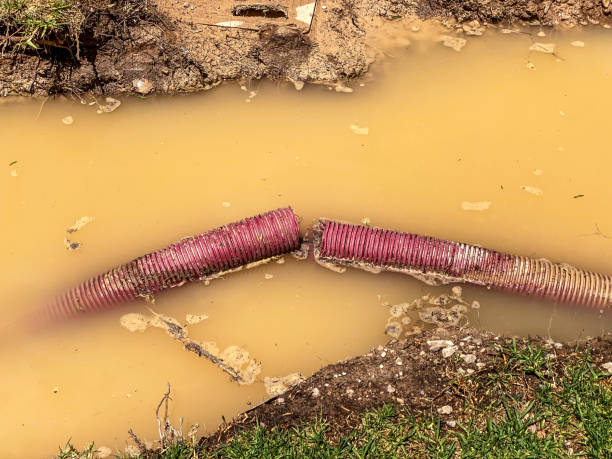 Carpet water damage restoration in Arkwright, SC