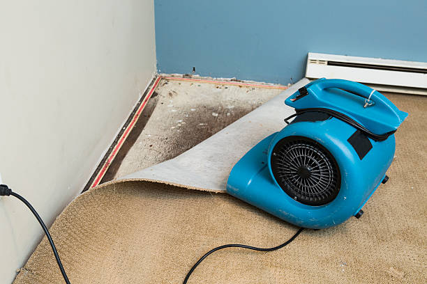 Best Flood restoration services  in Arkwright, SC